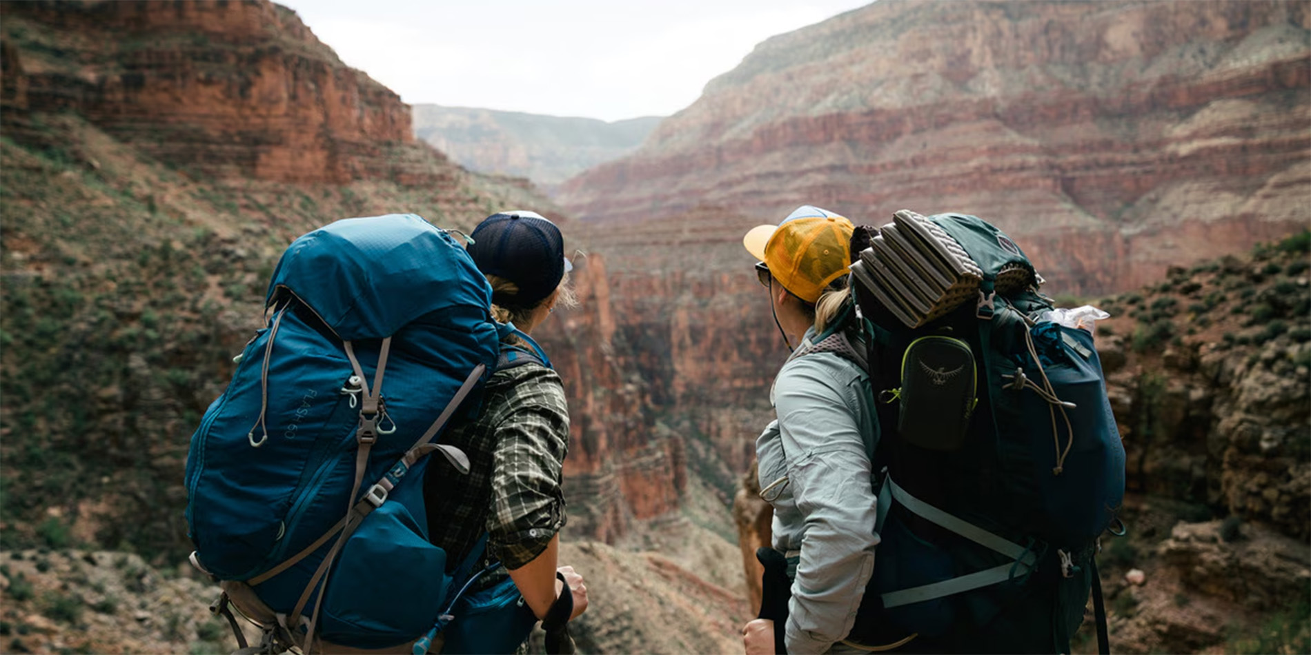 hikers looking at mountains