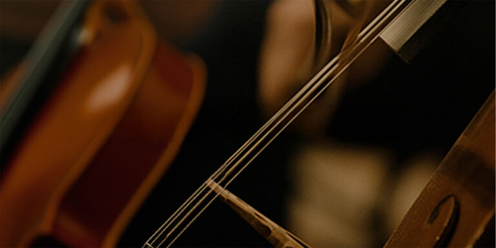 close up of musical instruments