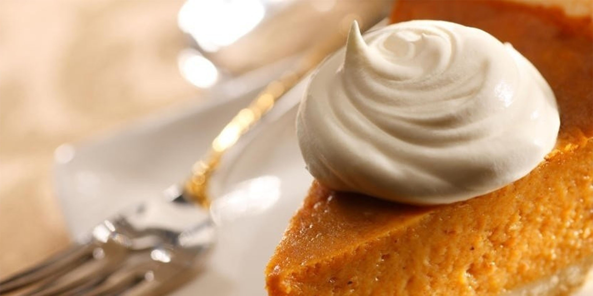 close up of pumpkin pie