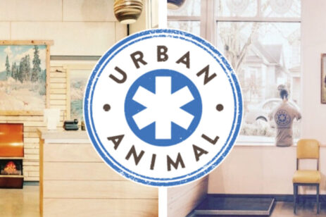 Urban Animal