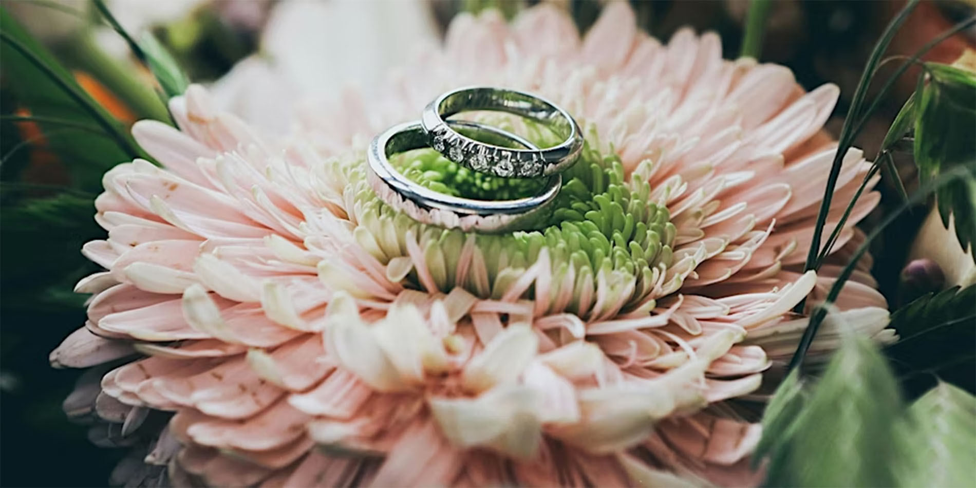 two wedding rings on flower