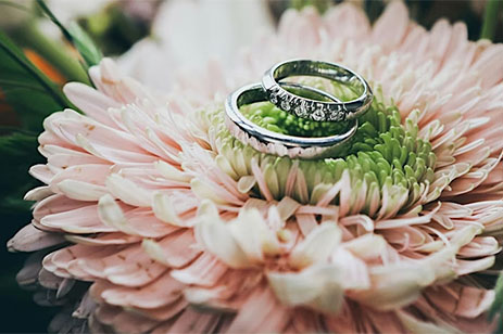 two wedding rings on flower