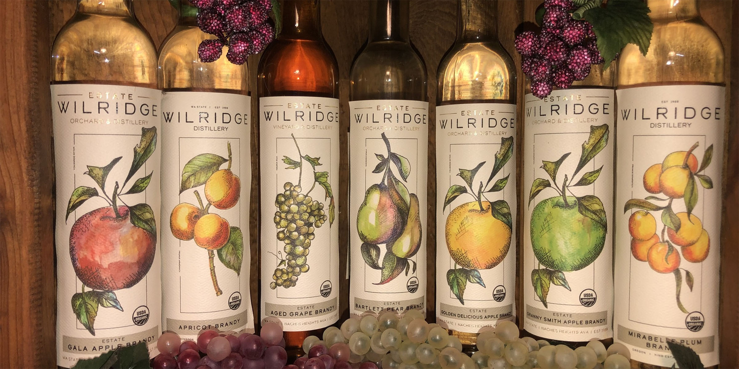Bottles of Wilridge wine